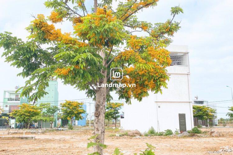 Bán Đất Hai Mặt Tiền Nam Hòa Xuân đường 7.5m B2-141 lô 1 - Đối diện trường học, Gần đường Nguyễn Phước Lan