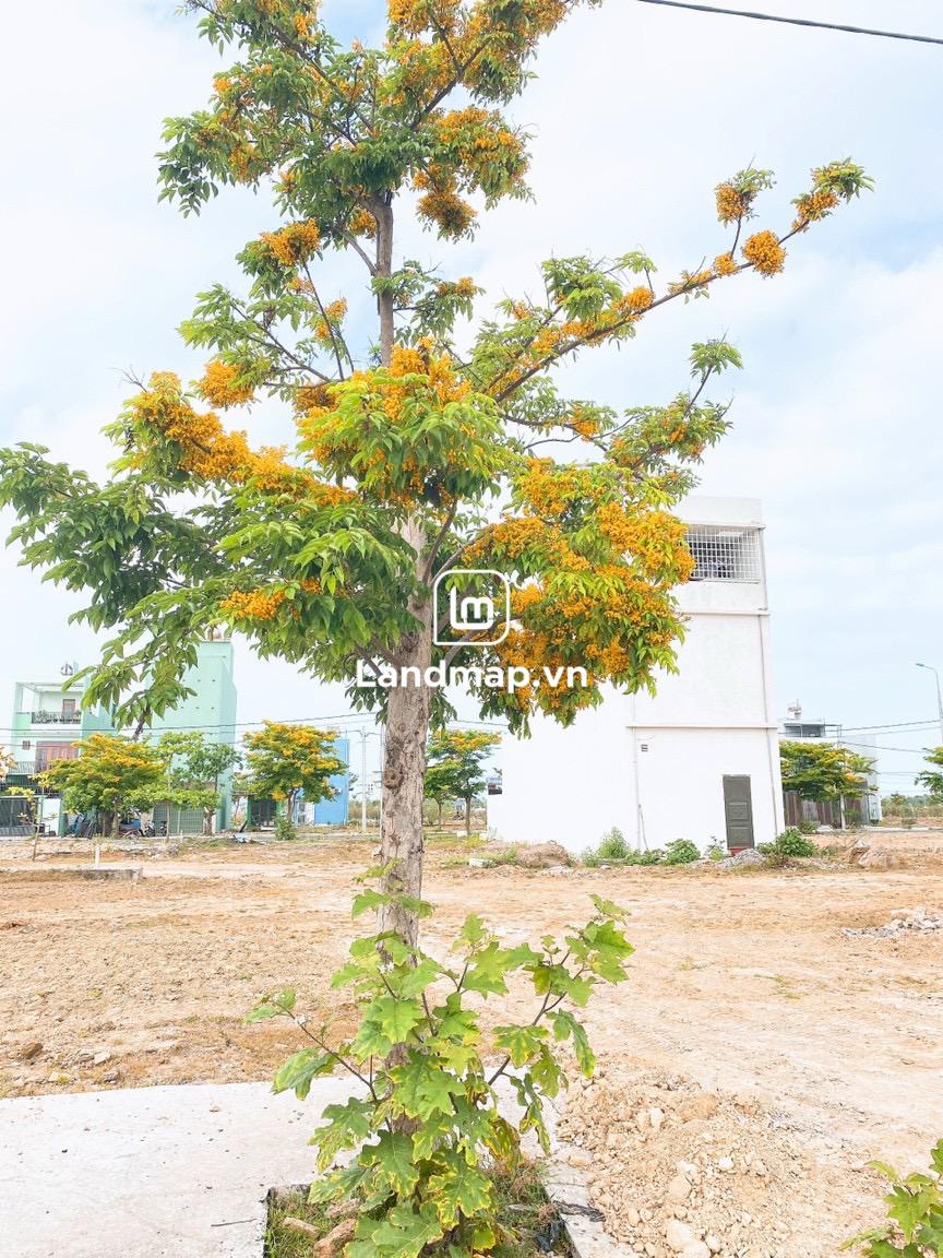 Bán Đất Nền Cụm B2-6X đến 10X Nam Hòa Xuân đường 7.5m B2-85 lô