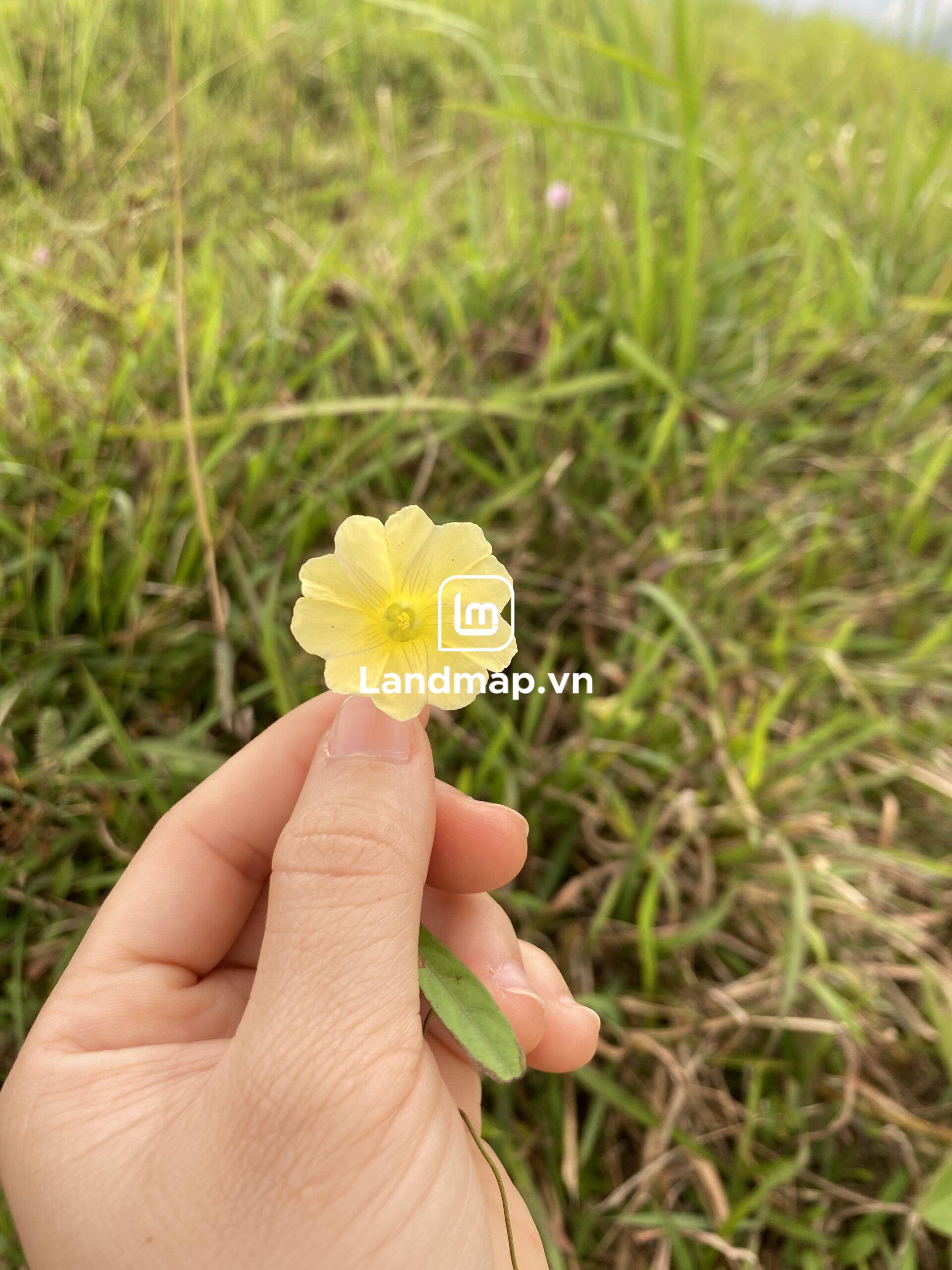 Bán Đất Nền Điện Âm Nam Hòa Xuân đường 7.5m B2-22 lô