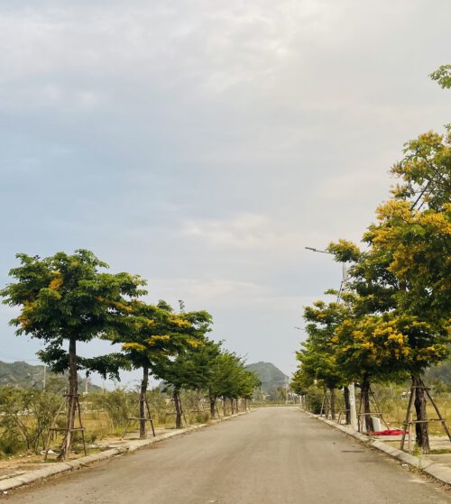 Gần Cầu Nguyễn Tri Phương