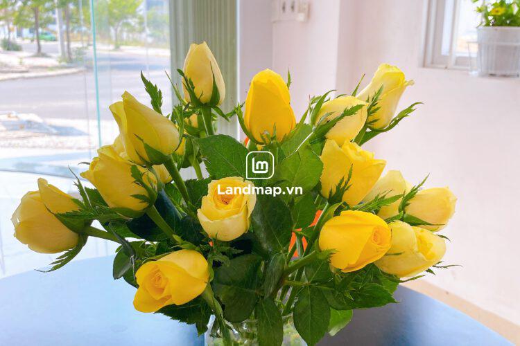 Bán Đất Nền Nam Hòa Xuân đường Hói Kiểng 22 B2-67 lô 4x - Gần đường Nguyễn Phước Lan