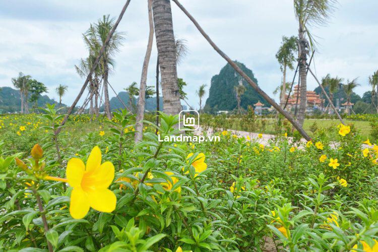 Bán Đất Nền Đầm Sen Nam Hòa Xuân đường 7.5m B2-131 lô 1x - Gần đường Nguyễn Phước Lan
