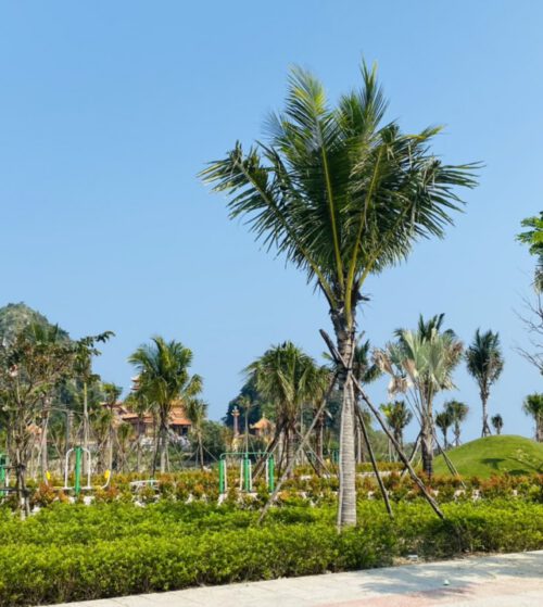 Gần cầu Hòa Xuân