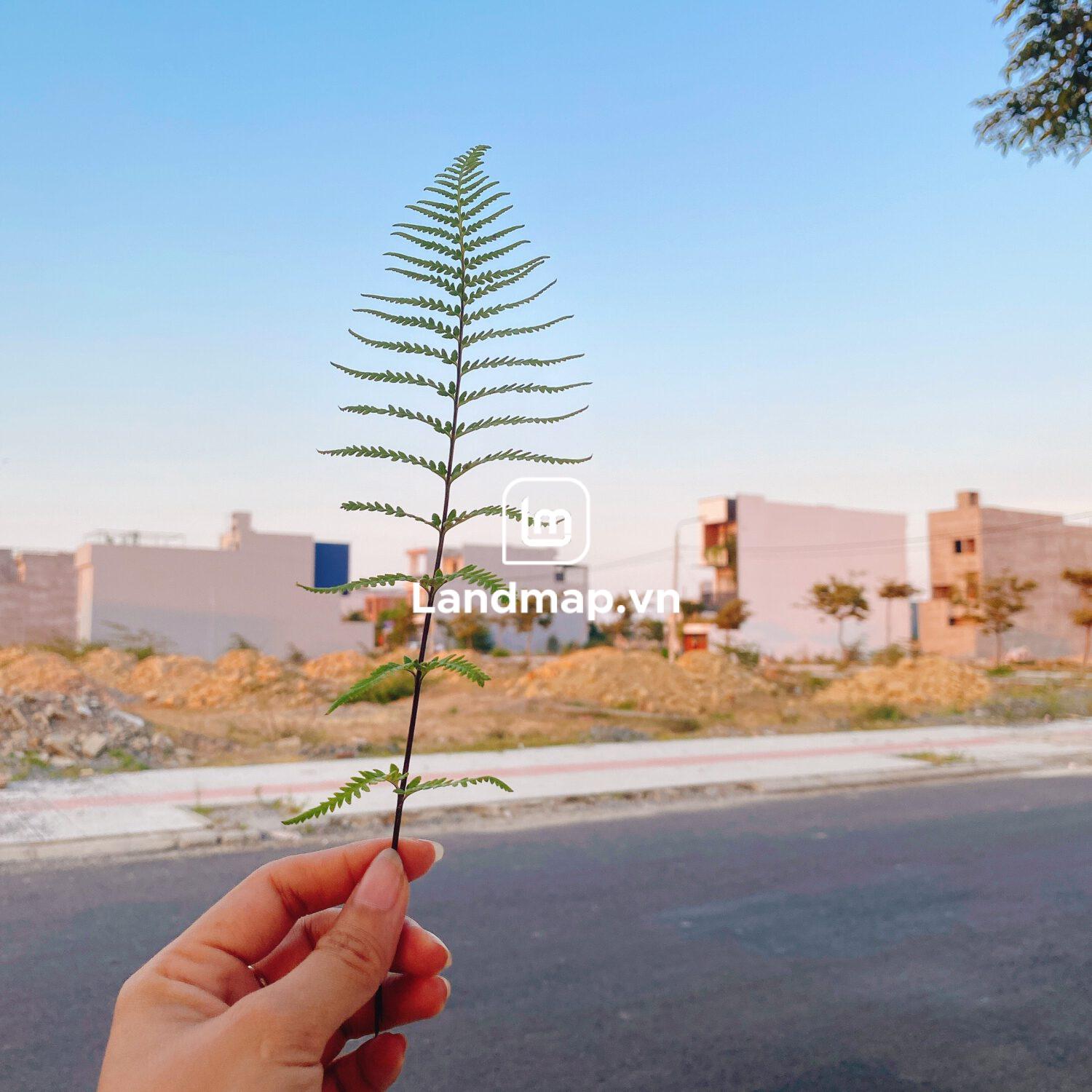 Bán Đất Nền Cụm B2-6X đến 10X Nam Hòa Xuân đường 7.5m B2-95 lô