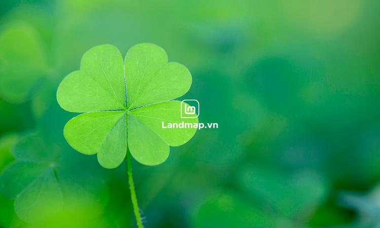 Bán Đất Nền Nam Cầu Nguyễn Tri Phương Hòa Xuân đường Thanh Lương 9 B1-105 lô