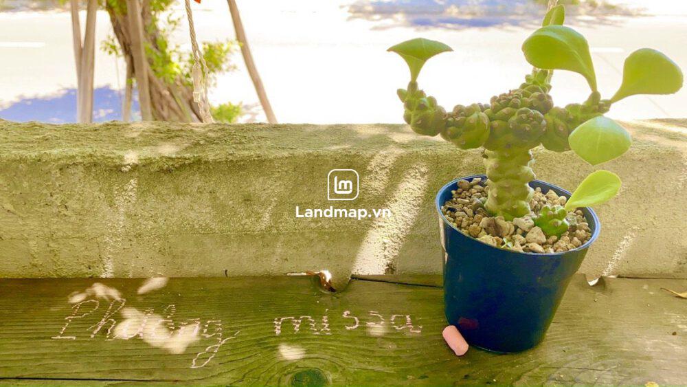 Bán Đất Nền Đầm Sen Nam Hòa Xuân đường 7.5m B2-139 lô