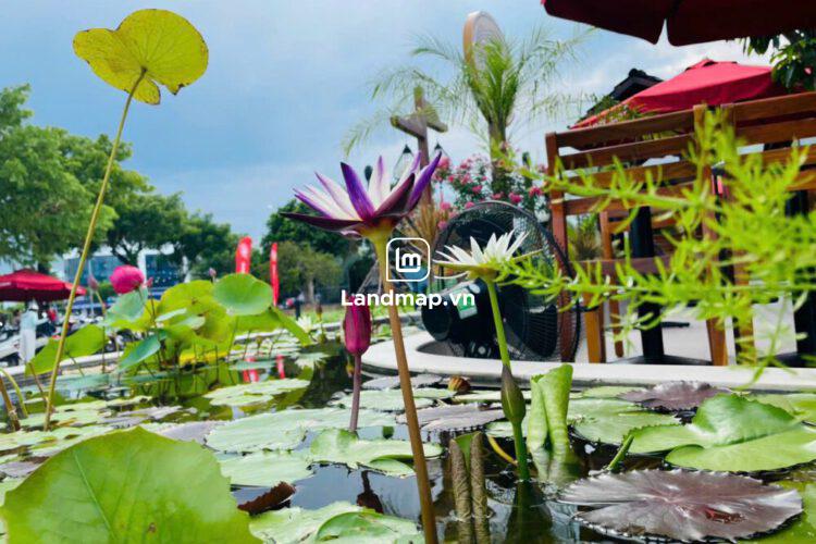 Bán Đất Nền Đầm Sen Nam Hòa Xuân đường 7.5m B2-134 lô 7x - Đối diện công viên, Gần Sông Cổ Cò